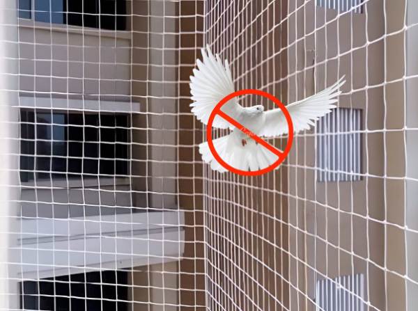 Pigeon Safety Nets In Hyderabad